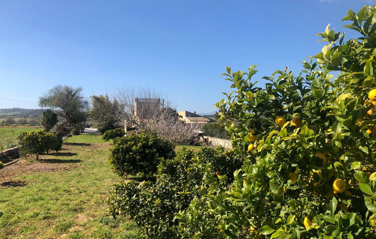 Son Roig ,Beautiful Place In The Heart Of Mallorca -Etv 9979 Maria De La Salut Exterior photo