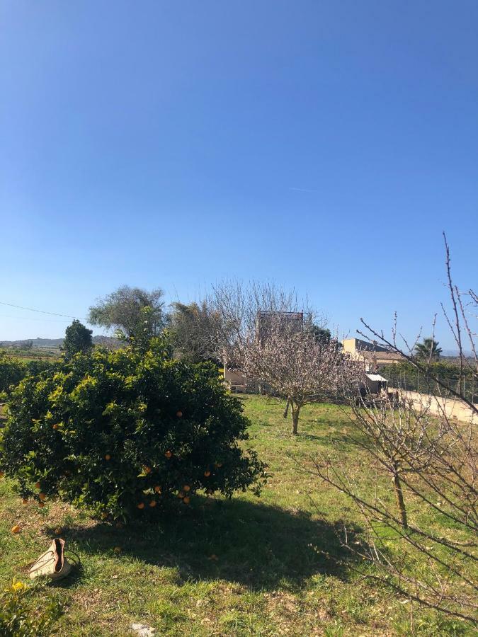 Son Roig ,Beautiful Place In The Heart Of Mallorca -Etv 9979 Maria De La Salut Exterior photo